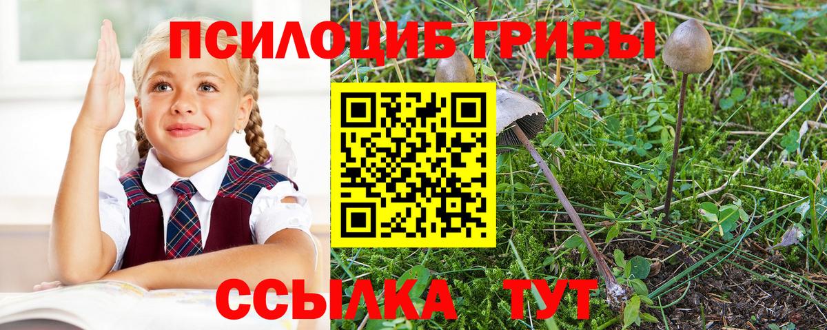 Владикавказ  Псилоцибиновые грибы ЛСД  Вход с VPN 