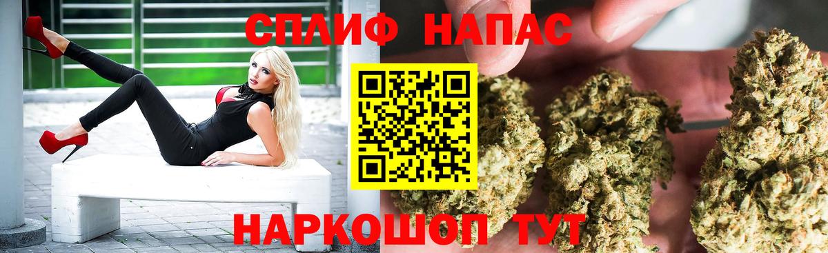 Бошки Шишки ГИДРОПОН Владикавказ